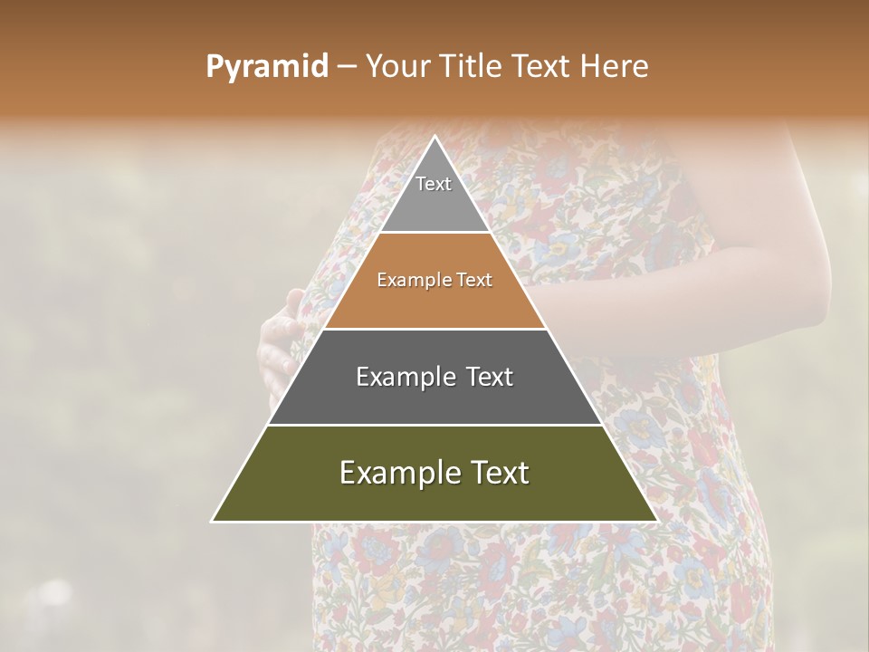 A Pregnant Woman In A Colorful Dress Is Holding Her Belly PowerPoint Template