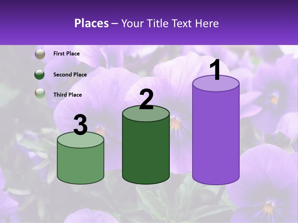 A Bunch Of Purple Flowers With A Purple Banner PowerPoint Template