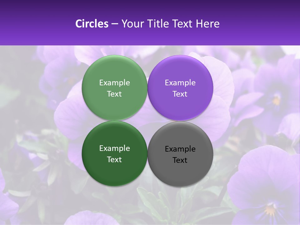 A Bunch Of Purple Flowers With A Purple Banner PowerPoint Template