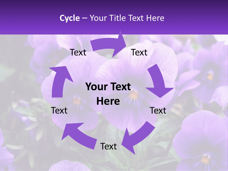 A Bunch Of Purple Flowers With A Purple Banner PowerPoint Template