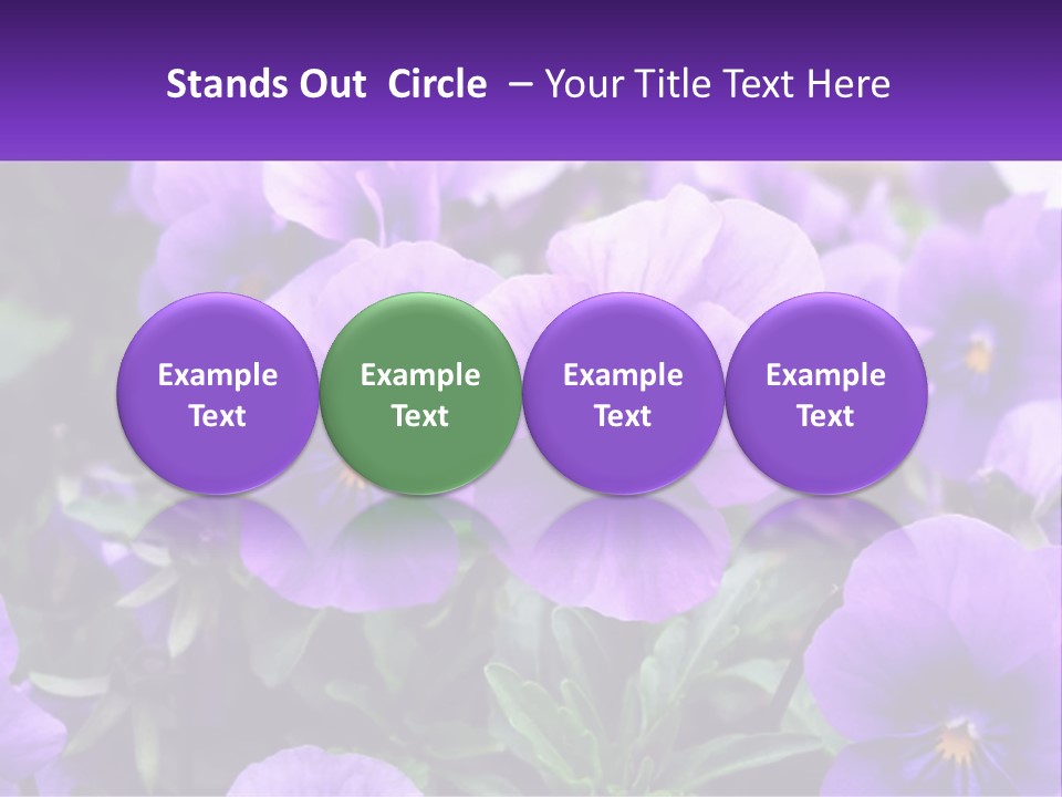 A Bunch Of Purple Flowers With A Purple Banner PowerPoint Template