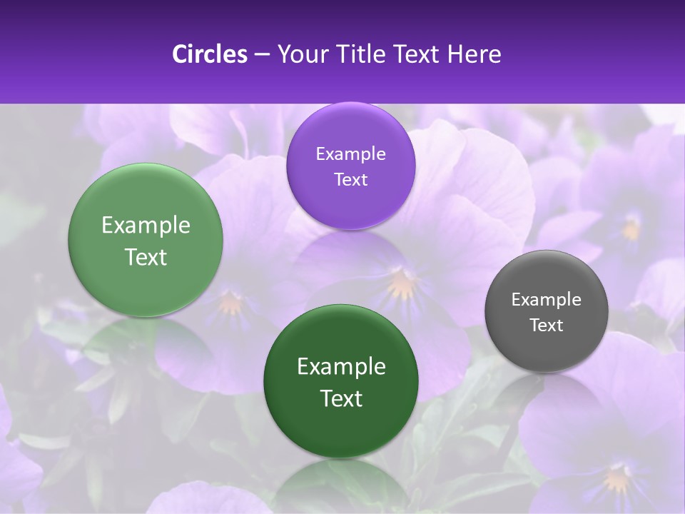 A Bunch Of Purple Flowers With A Purple Banner PowerPoint Template