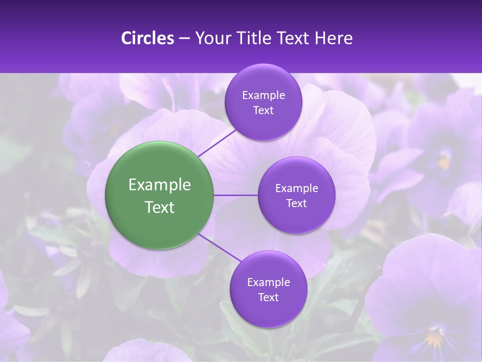 A Bunch Of Purple Flowers With A Purple Banner PowerPoint Template