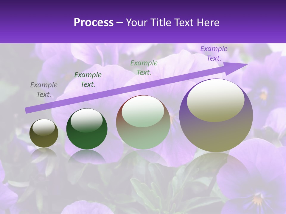 A Bunch Of Purple Flowers With A Purple Banner PowerPoint Template