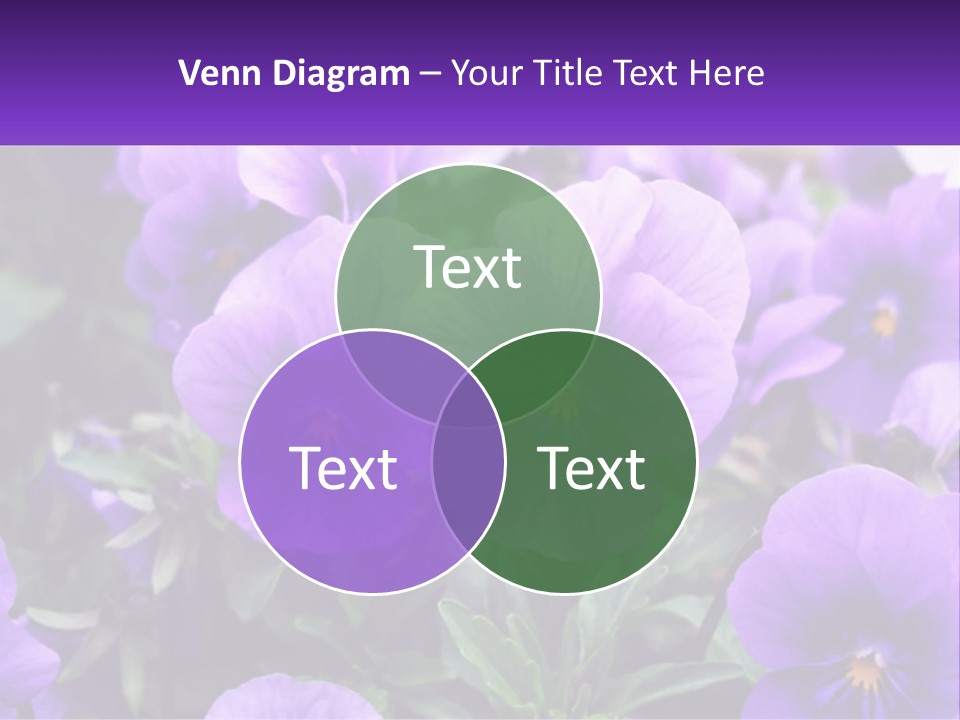 A Bunch Of Purple Flowers With A Purple Banner PowerPoint Template