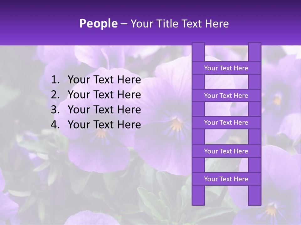 A Bunch Of Purple Flowers With A Purple Banner PowerPoint Template