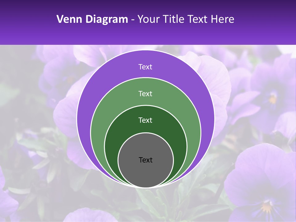 A Bunch Of Purple Flowers With A Purple Banner PowerPoint Template
