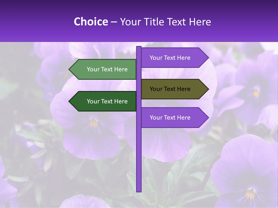 A Bunch Of Purple Flowers With A Purple Banner PowerPoint Template