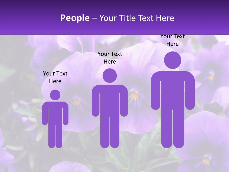 A Bunch Of Purple Flowers With A Purple Banner PowerPoint Template