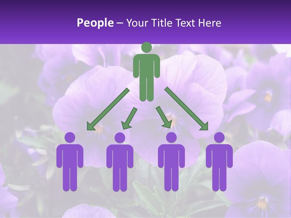 A Bunch Of Purple Flowers With A Purple Banner PowerPoint Template