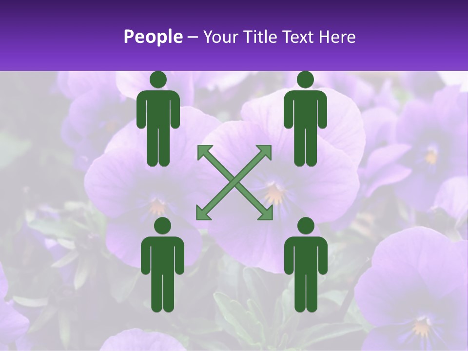 A Bunch Of Purple Flowers With A Purple Banner PowerPoint Template