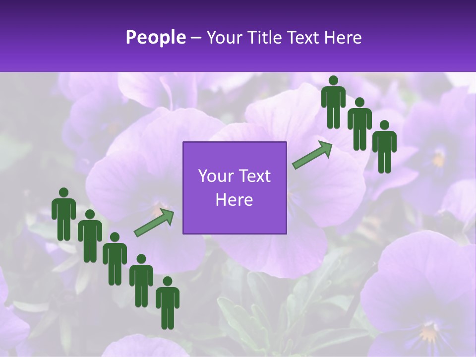 A Bunch Of Purple Flowers With A Purple Banner PowerPoint Template