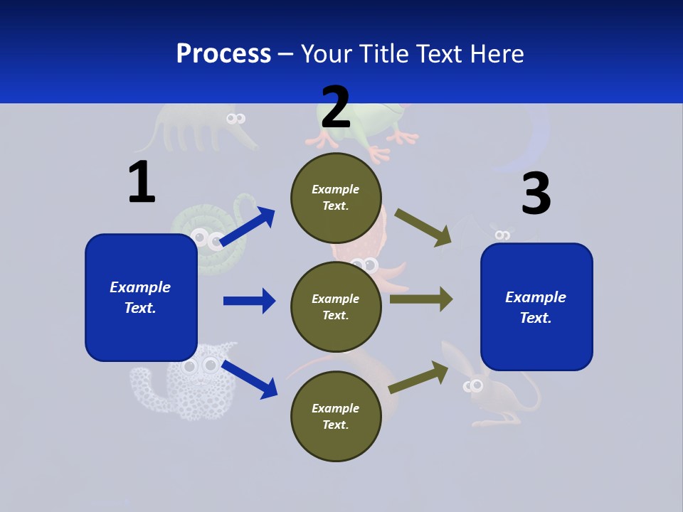 A Group Of Different Types Of Animals On A Blue Background PowerPoint Template