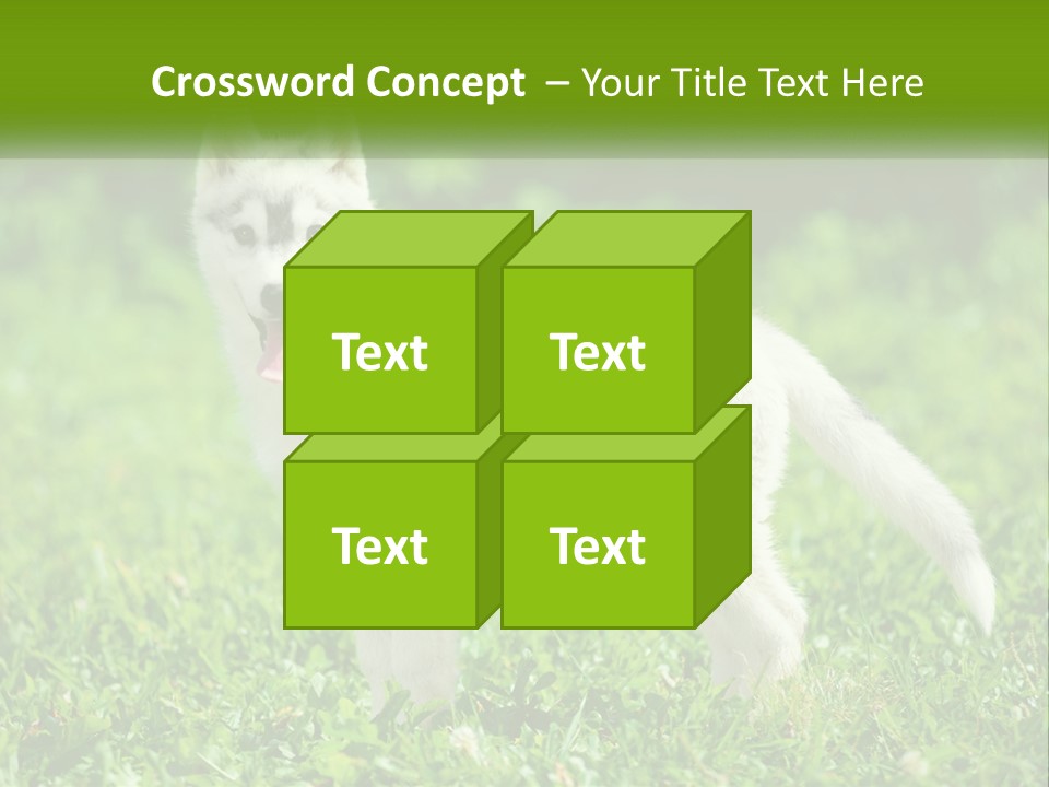 A White Dog Standing On Top Of A Lush Green Field PowerPoint Template