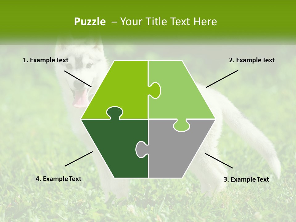 A White Dog Standing On Top Of A Lush Green Field PowerPoint Template