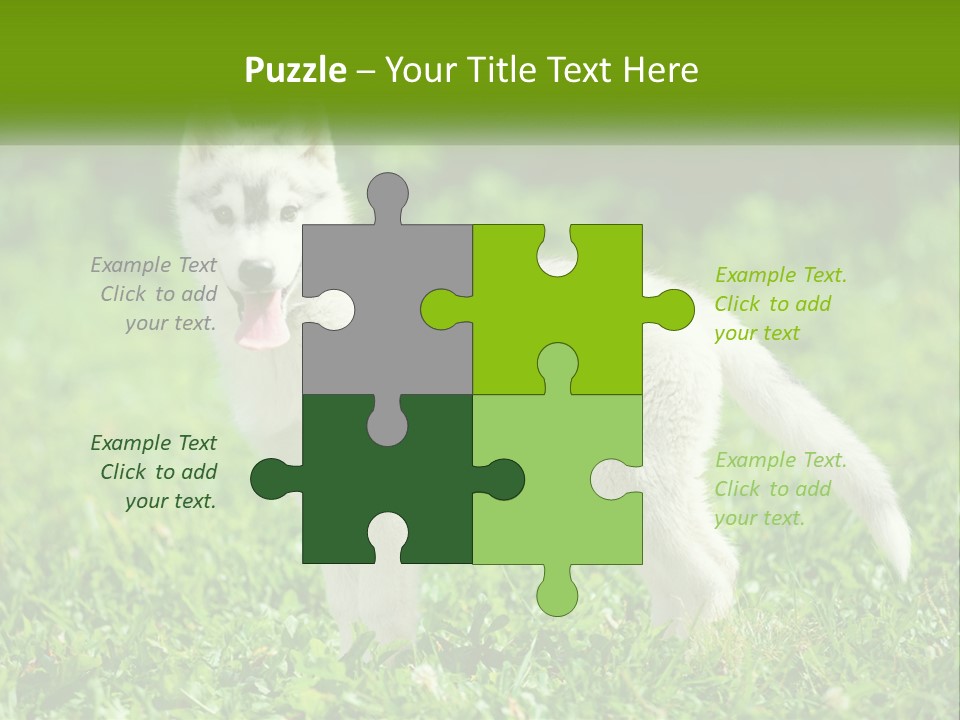 A White Dog Standing On Top Of A Lush Green Field PowerPoint Template