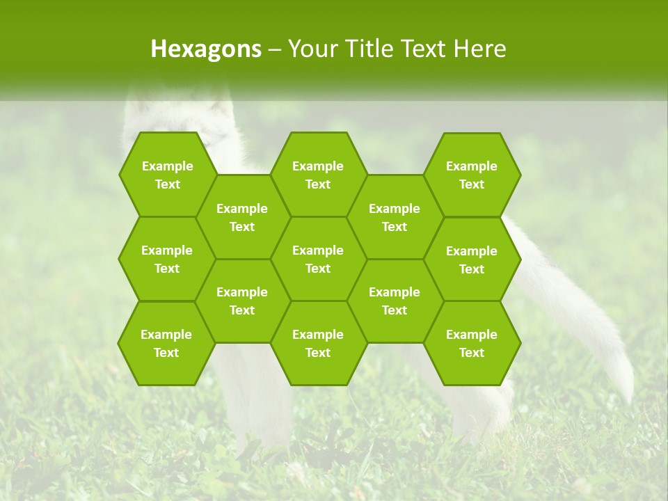 A White Dog Standing On Top Of A Lush Green Field PowerPoint Template