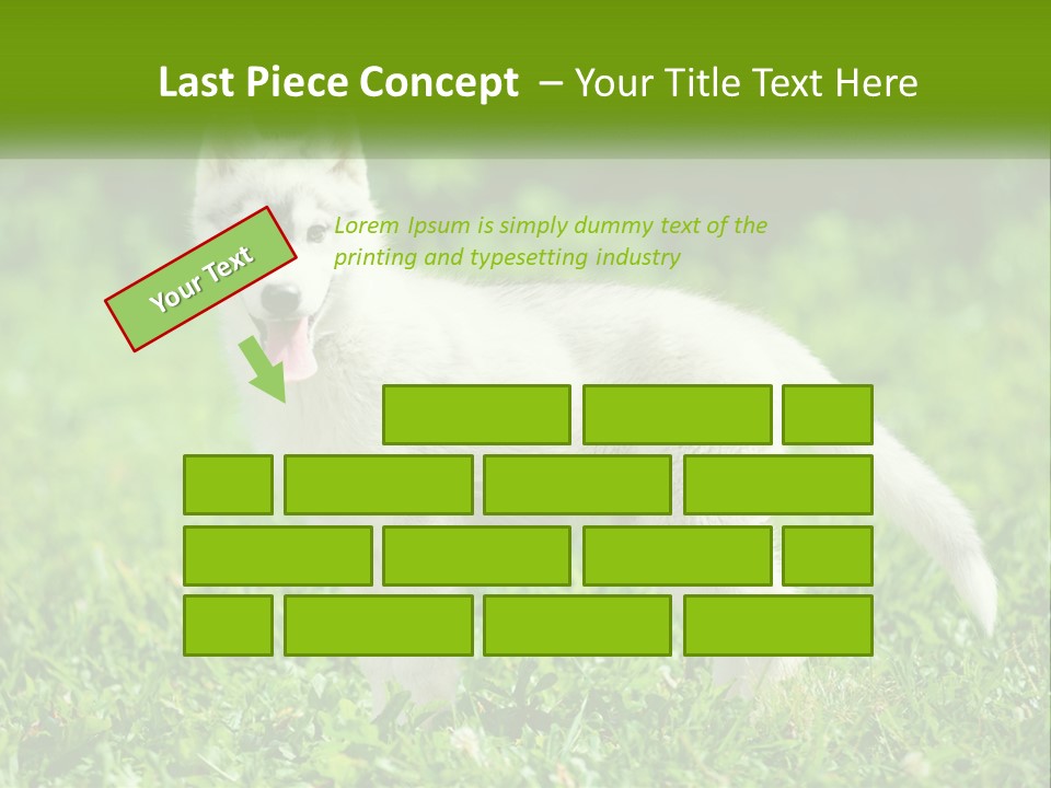 A White Dog Standing On Top Of A Lush Green Field PowerPoint Template