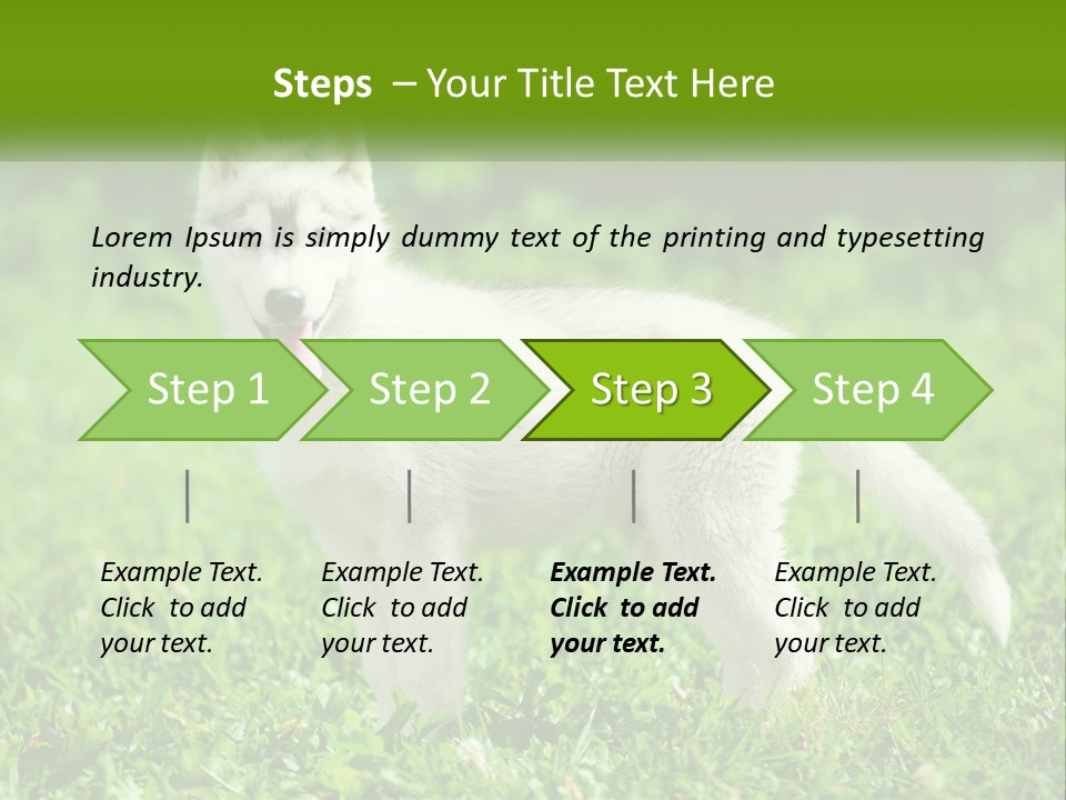 A White Dog Standing On Top Of A Lush Green Field PowerPoint Template