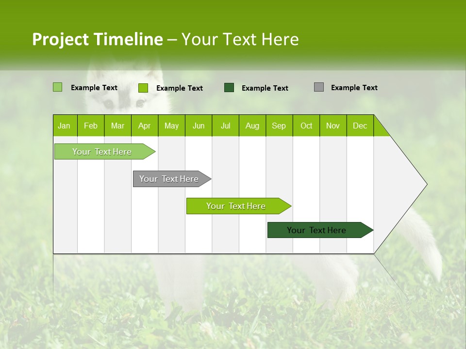 A White Dog Standing On Top Of A Lush Green Field PowerPoint Template