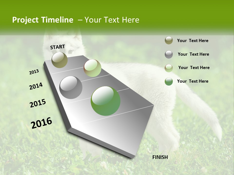 A White Dog Standing On Top Of A Lush Green Field PowerPoint Template