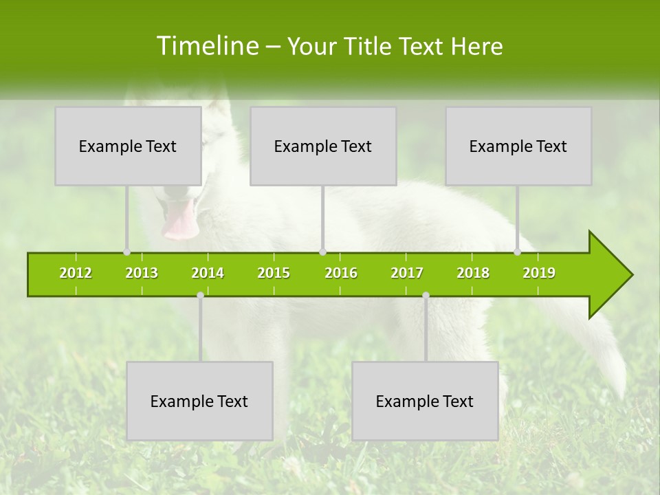 A White Dog Standing On Top Of A Lush Green Field PowerPoint Template