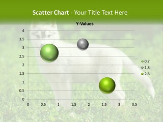 A White Dog Standing On Top Of A Lush Green Field PowerPoint Template