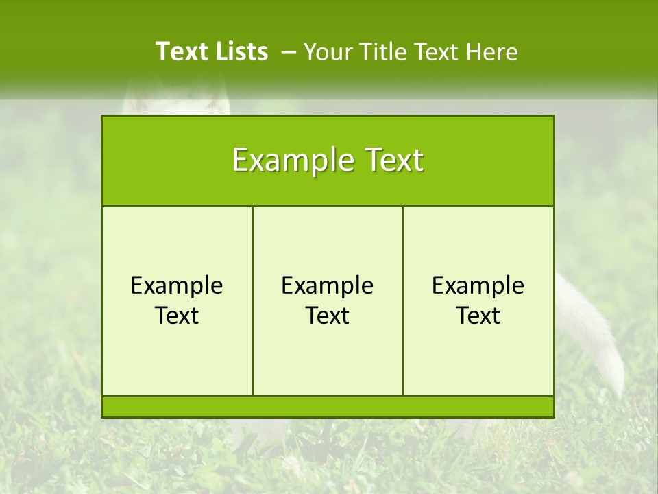 A White Dog Standing On Top Of A Lush Green Field PowerPoint Template