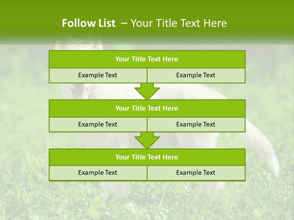 A White Dog Standing On Top Of A Lush Green Field PowerPoint Template
