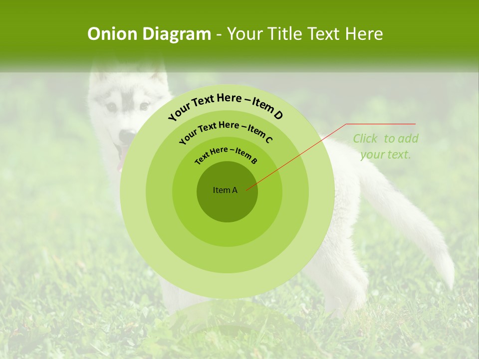 A White Dog Standing On Top Of A Lush Green Field PowerPoint Template