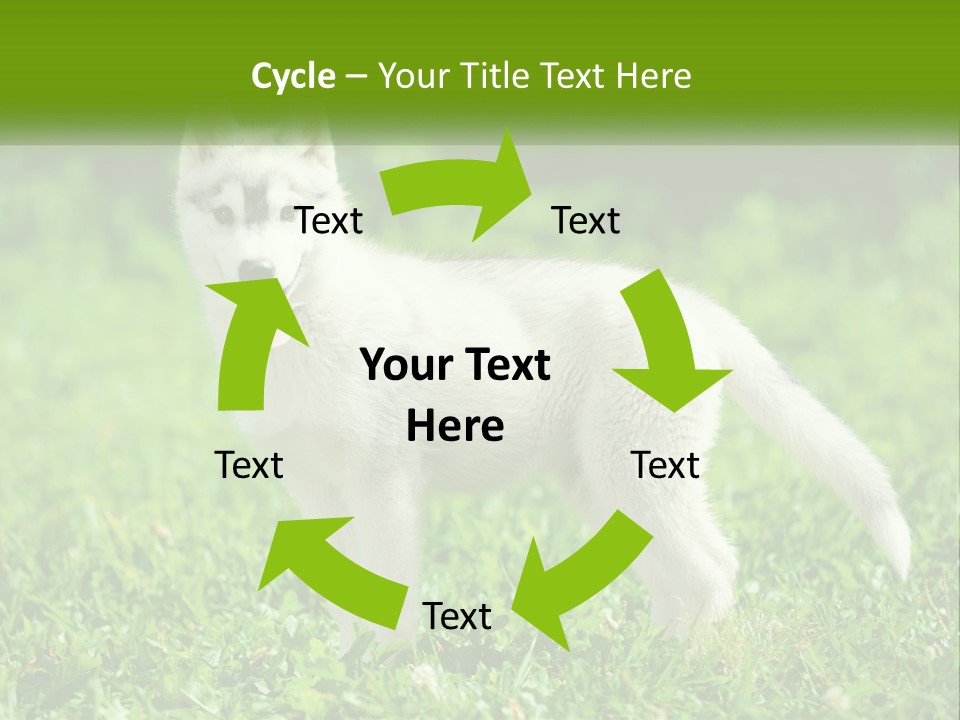 A White Dog Standing On Top Of A Lush Green Field PowerPoint Template