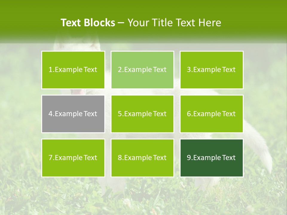 A White Dog Standing On Top Of A Lush Green Field PowerPoint Template