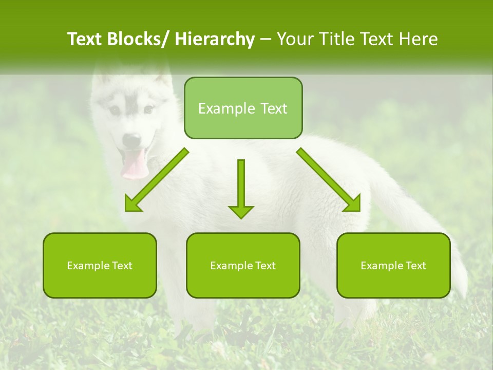 A White Dog Standing On Top Of A Lush Green Field PowerPoint Template