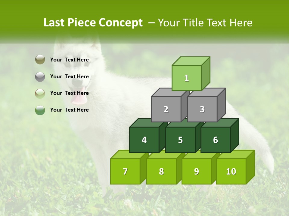 A White Dog Standing On Top Of A Lush Green Field PowerPoint Template