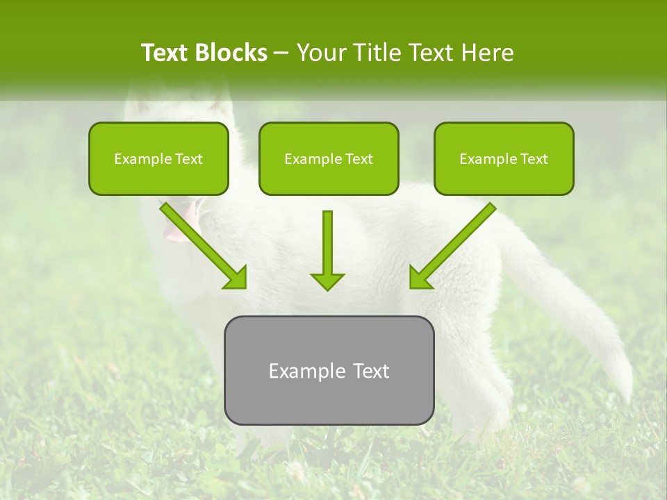 A White Dog Standing On Top Of A Lush Green Field PowerPoint Template