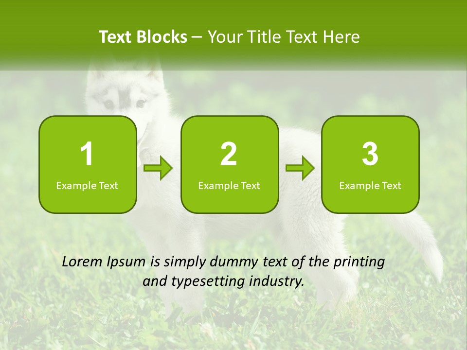 A White Dog Standing On Top Of A Lush Green Field PowerPoint Template