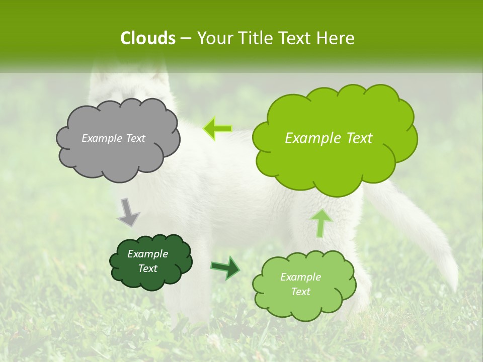 A White Dog Standing On Top Of A Lush Green Field PowerPoint Template