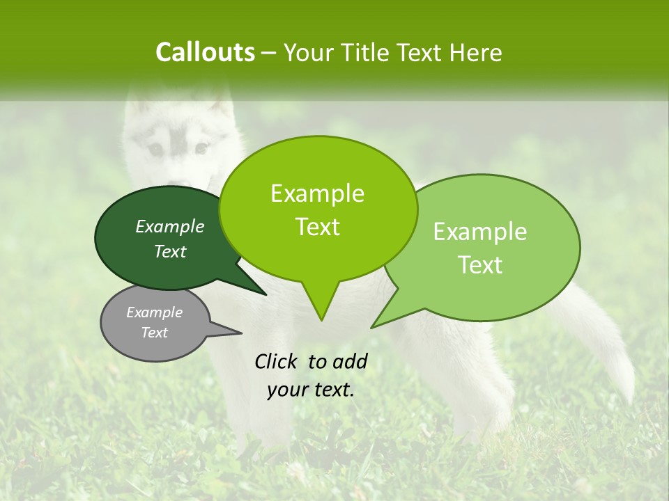 A White Dog Standing On Top Of A Lush Green Field PowerPoint Template
