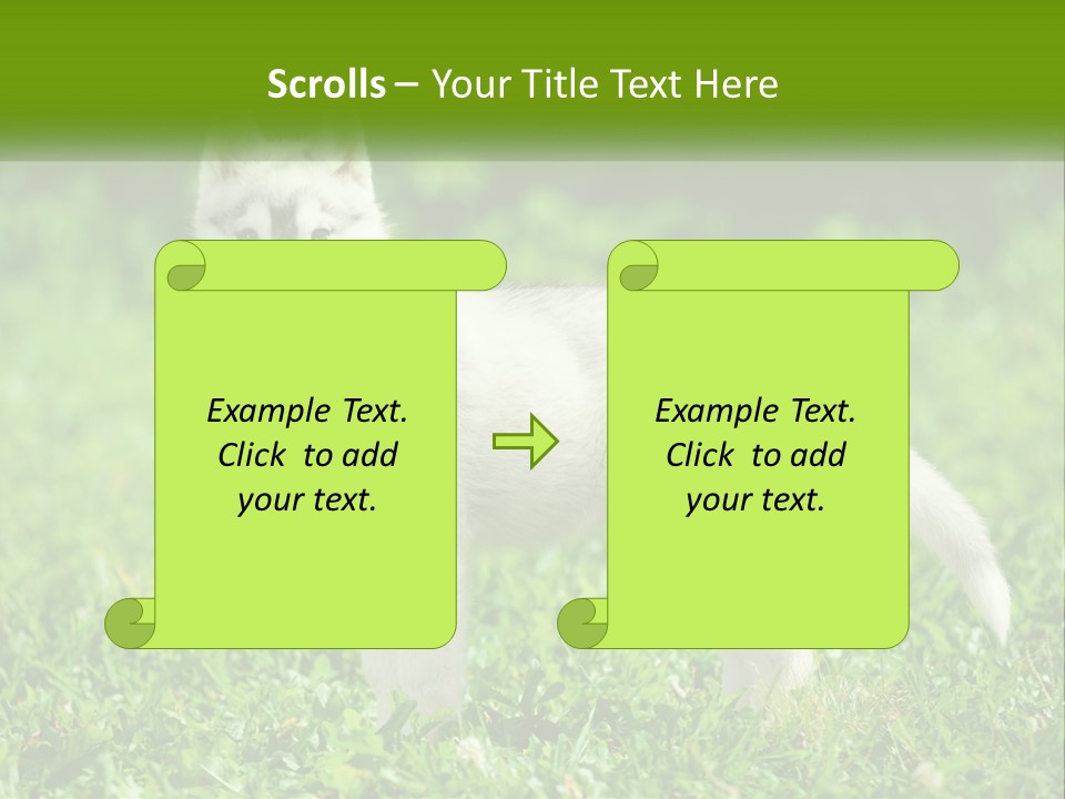 A White Dog Standing On Top Of A Lush Green Field PowerPoint Template