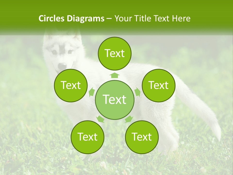 A White Dog Standing On Top Of A Lush Green Field PowerPoint Template