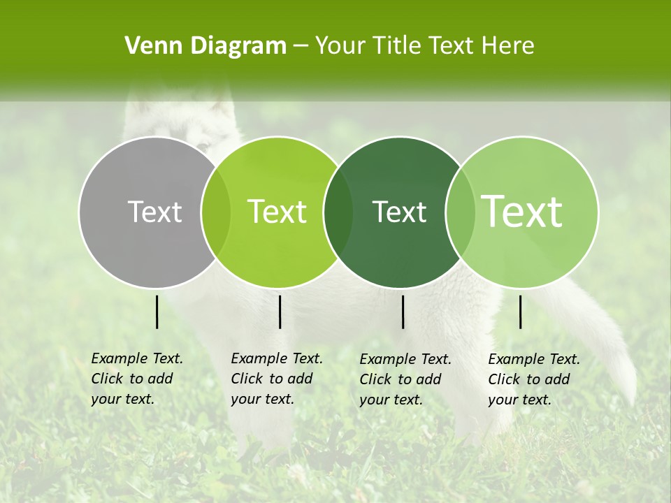 A White Dog Standing On Top Of A Lush Green Field PowerPoint Template