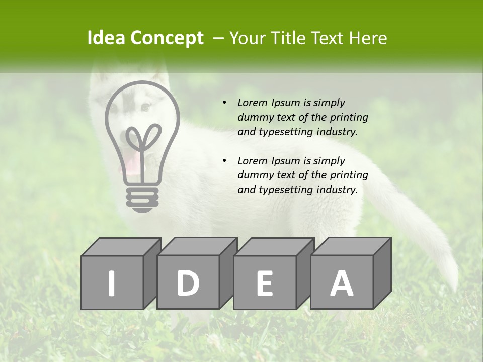 A White Dog Standing On Top Of A Lush Green Field PowerPoint Template