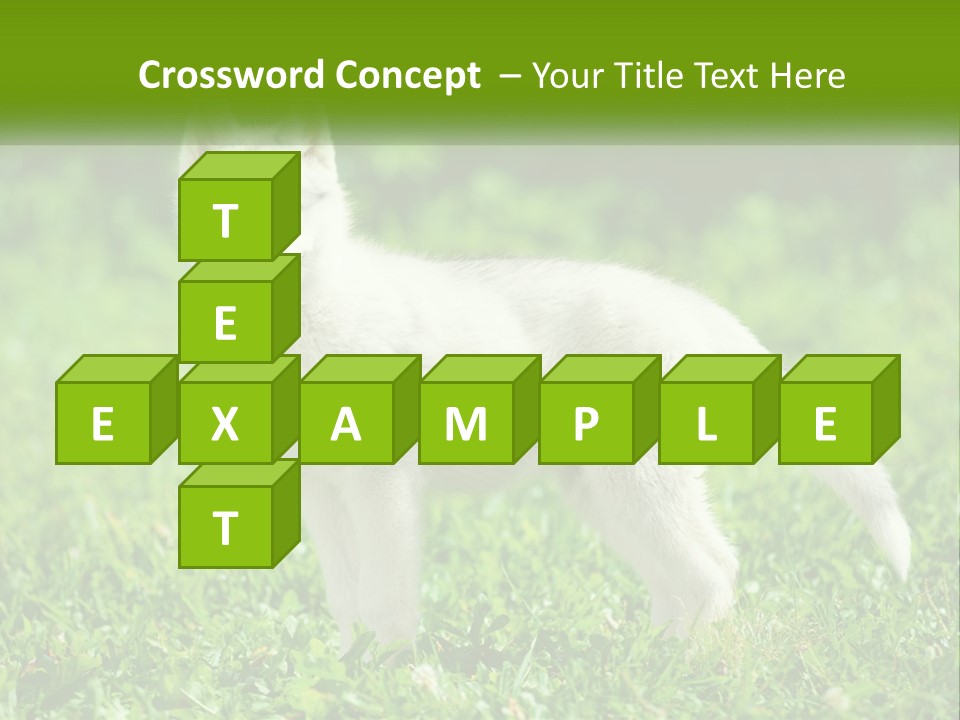 A White Dog Standing On Top Of A Lush Green Field PowerPoint Template
