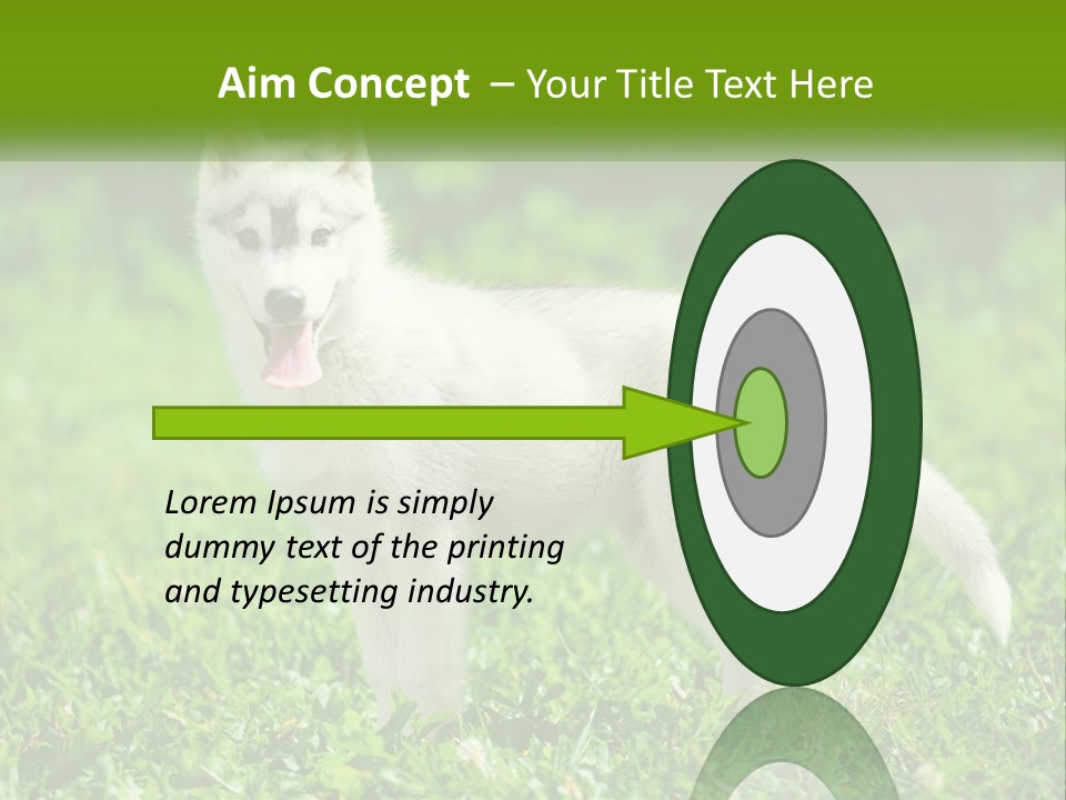 A White Dog Standing On Top Of A Lush Green Field PowerPoint Template