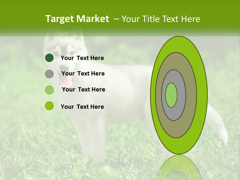 A White Dog Standing On Top Of A Lush Green Field PowerPoint Template