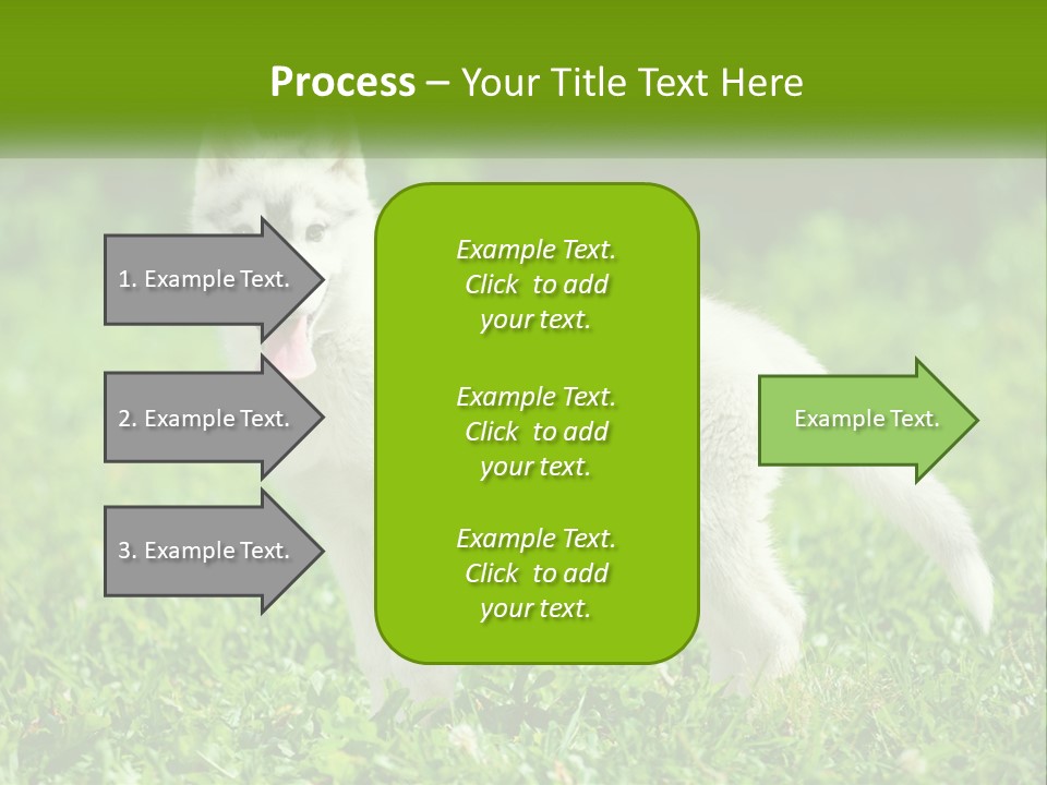 A White Dog Standing On Top Of A Lush Green Field PowerPoint Template