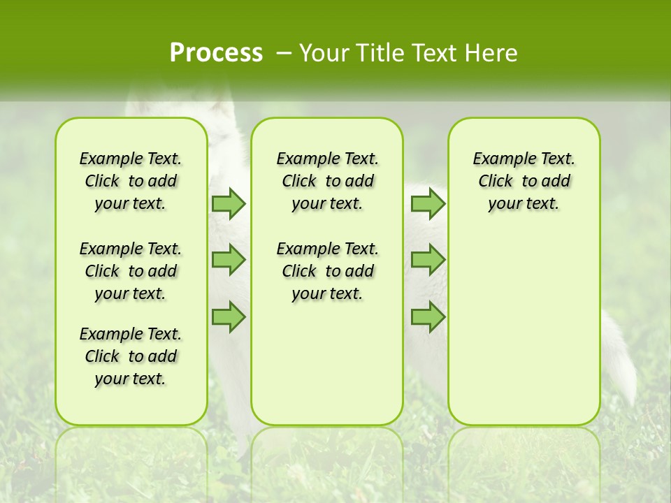 A White Dog Standing On Top Of A Lush Green Field PowerPoint Template