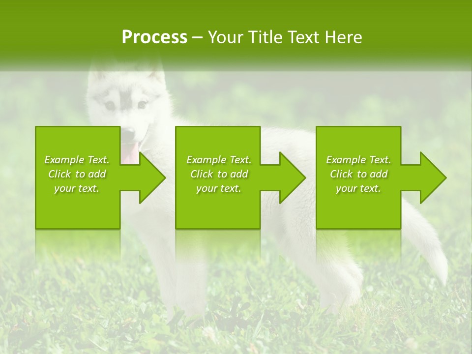 A White Dog Standing On Top Of A Lush Green Field PowerPoint Template