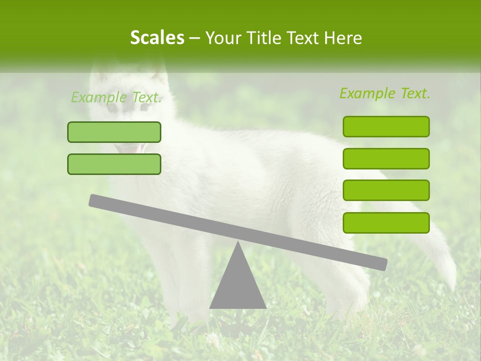 A White Dog Standing On Top Of A Lush Green Field PowerPoint Template