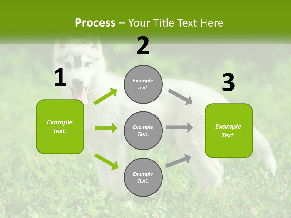 A White Dog Standing On Top Of A Lush Green Field PowerPoint Template